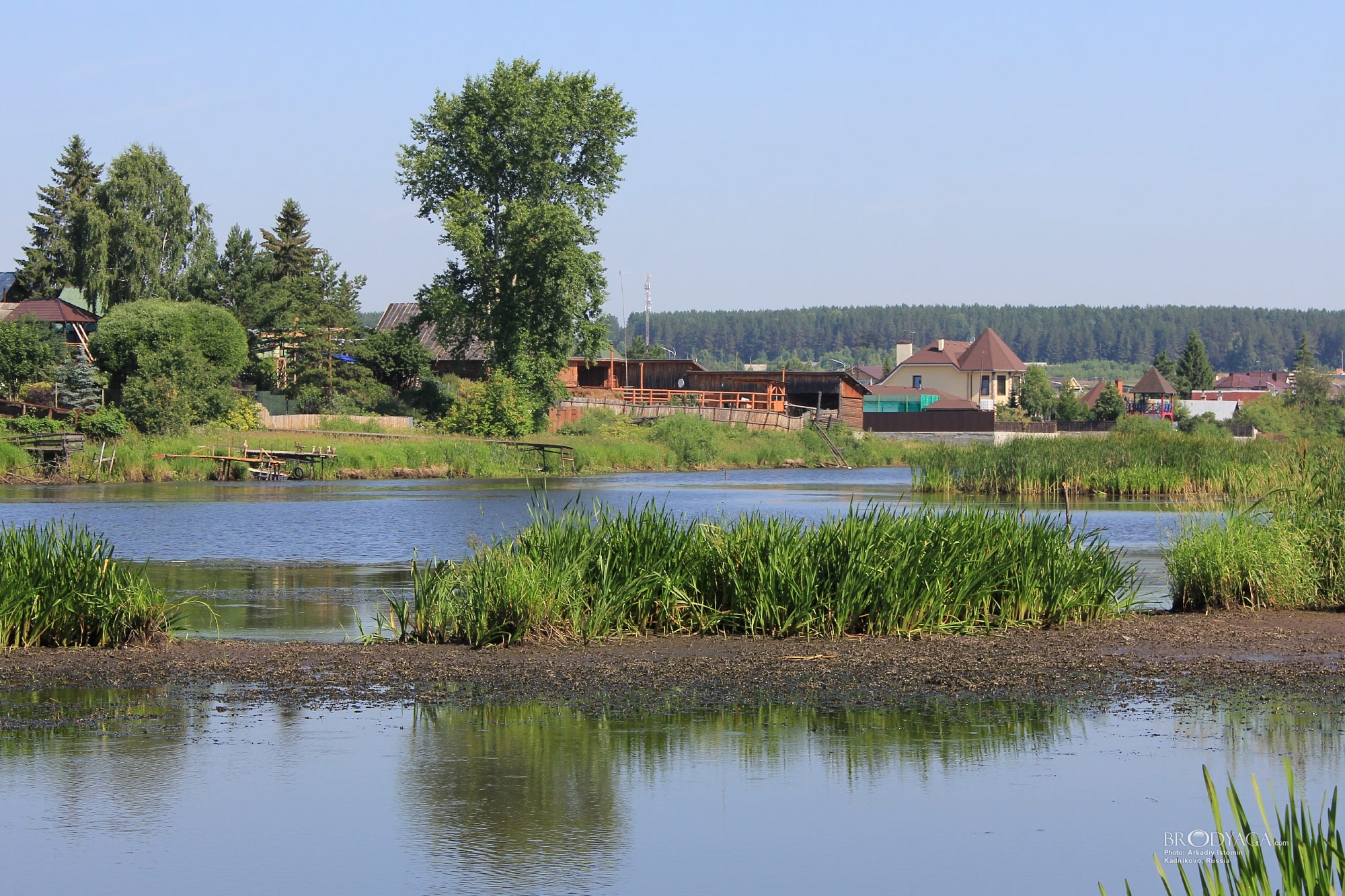 Kadnikovo (Кадниково)